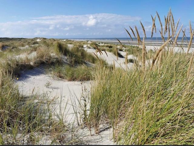 Seeblick Lachmoewe, Exklusive Lage In Strandnaehe 방어로게 외부 사진